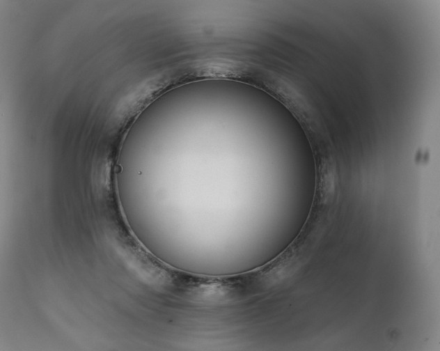 X0000112030310200908031442