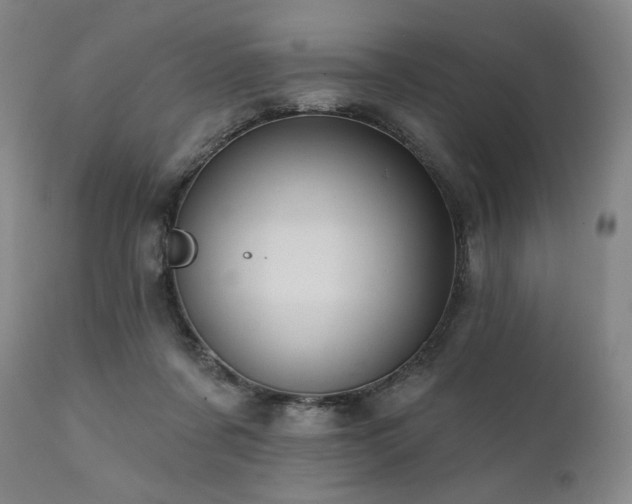 X0000112030311200908031442