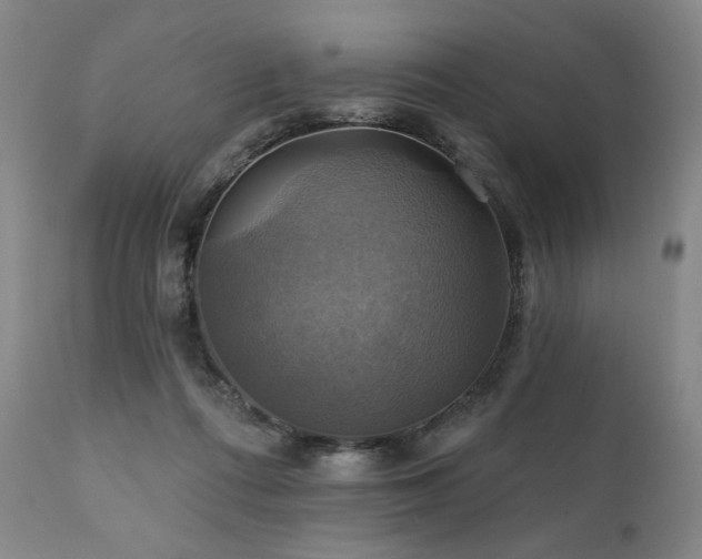 X0000112030312200908031442