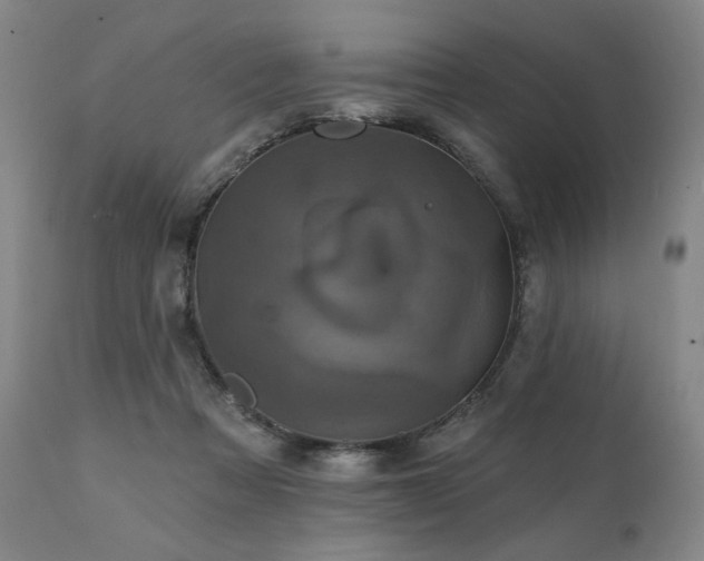 X0000112030313200908031442