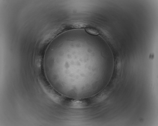 X0000112030315200908031442