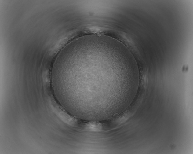 X0000112030317200908031442