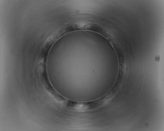 X0000112030319200908031442