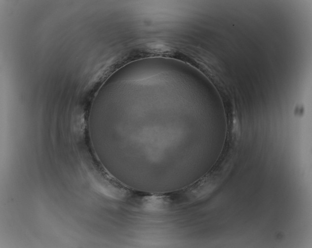 X0000112030320200908031442
