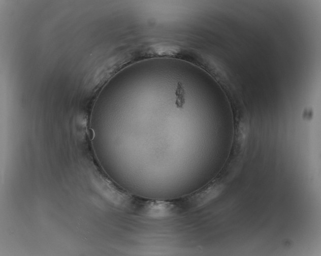 X0000112030321200908031442