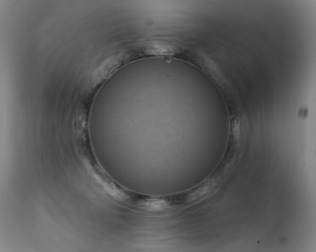 X0000112030322200908031442