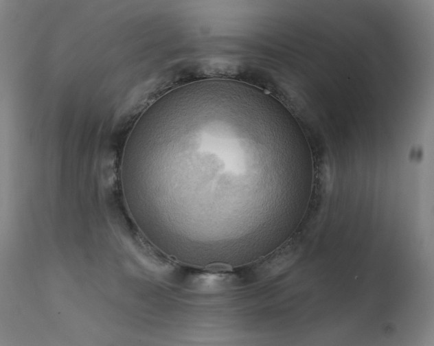 X0000112030323200908031442
