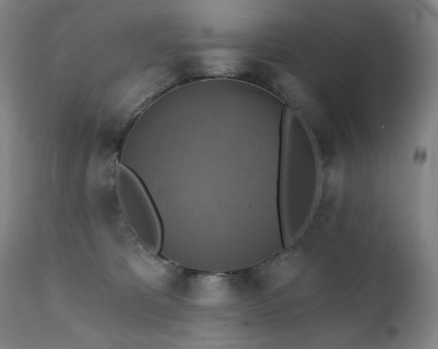 X0000112030325200908031442
