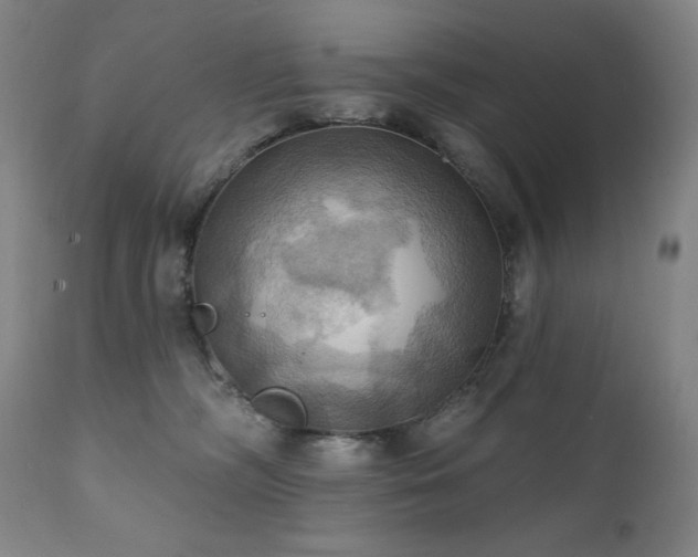 X0000112030326200908031442