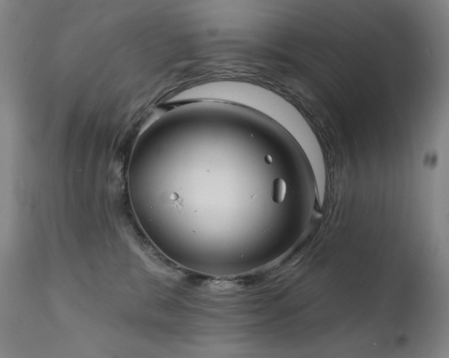 X0000112030327200908031442