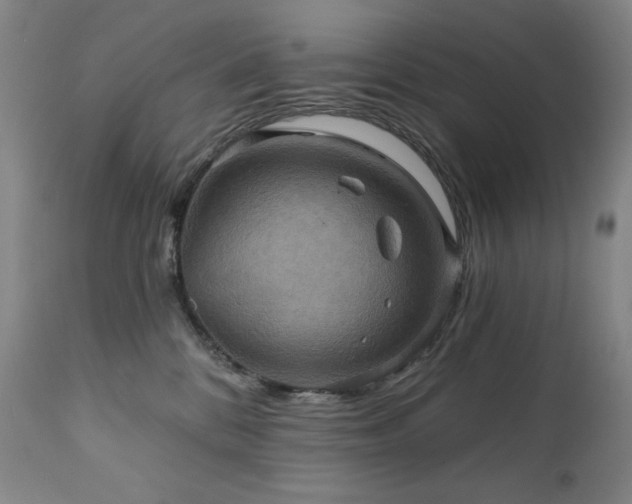 X0000112030328200908031442