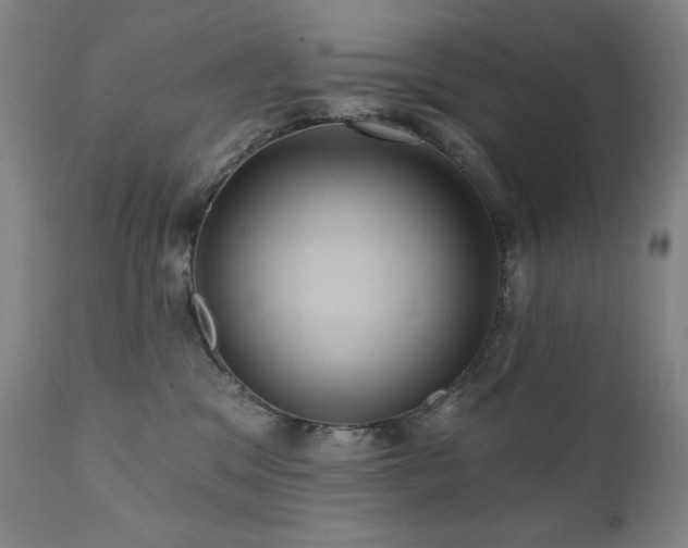 X0000112030329200908031442