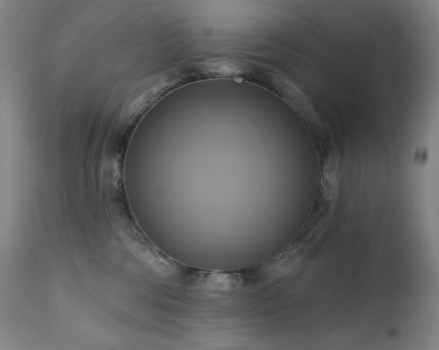 X0000112030330200908031442