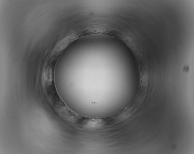 X0000112030334200908031442