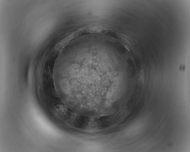 X0000112030335200908031442