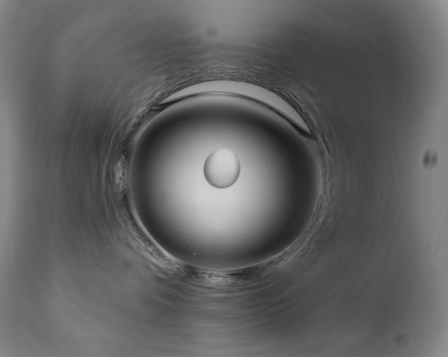 X0000112030336200908031442