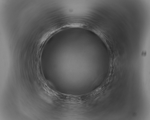 X0000112030337200908031441
