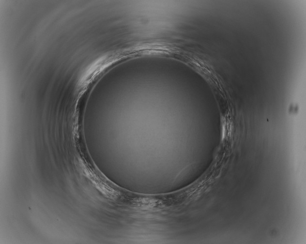 X0000112030339200908031441
