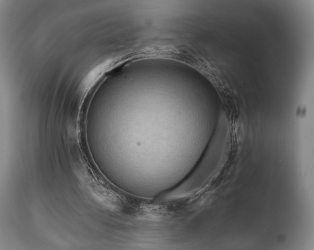 X0000112030340200908031441