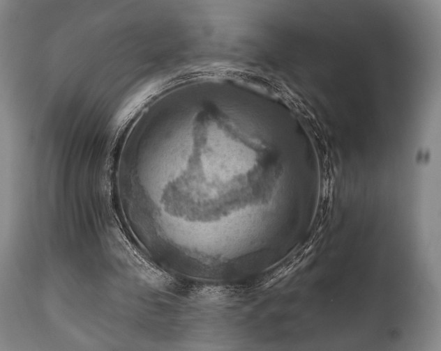 X0000112030341200908031441