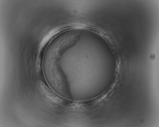 X0000112030343200908031441