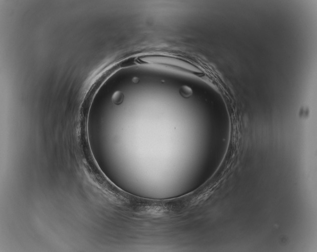 X0000112030344200908031441