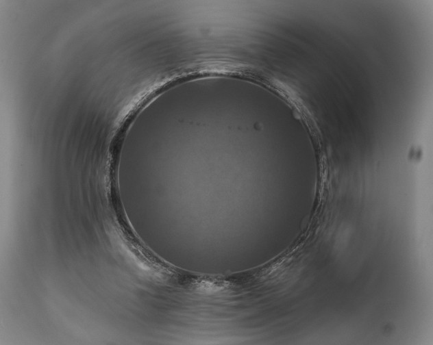 X0000112030346200908031441