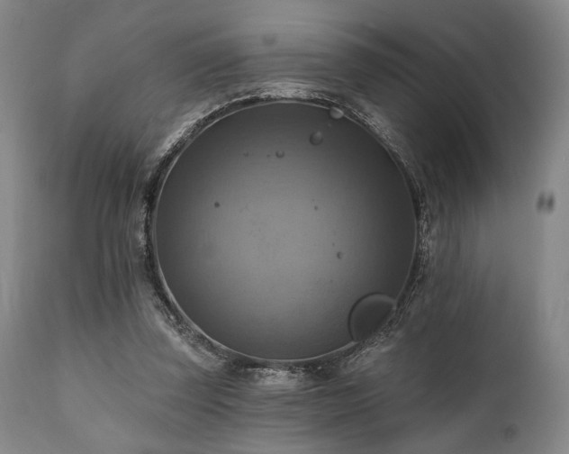 X0000112030347200908031441