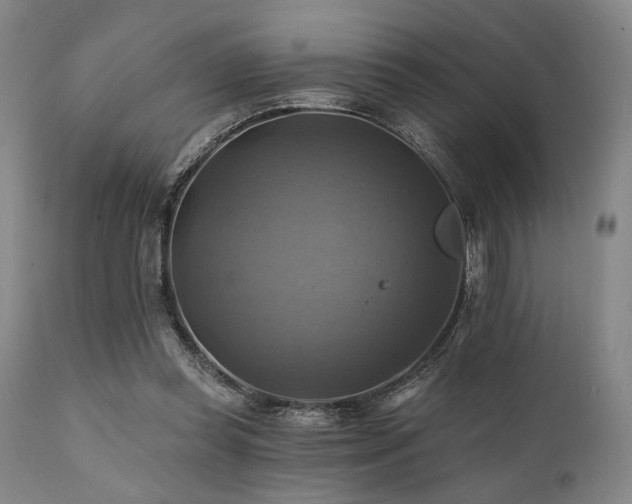 X0000112030349200908031441