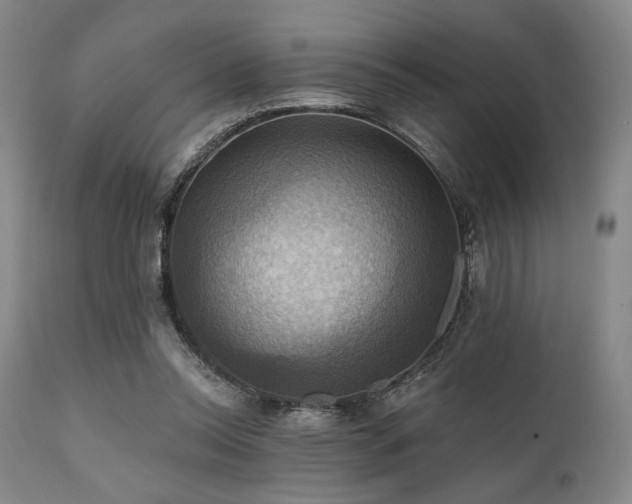 X0000112030350200908031441
