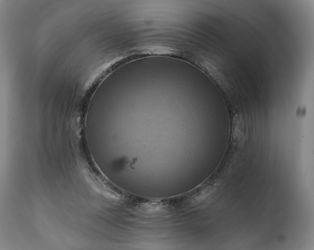 X0000112030351200908031441