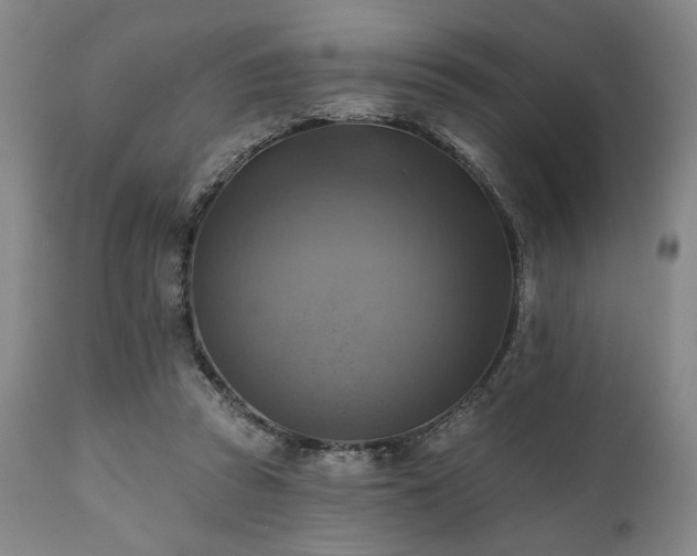 X0000112030353200908031441