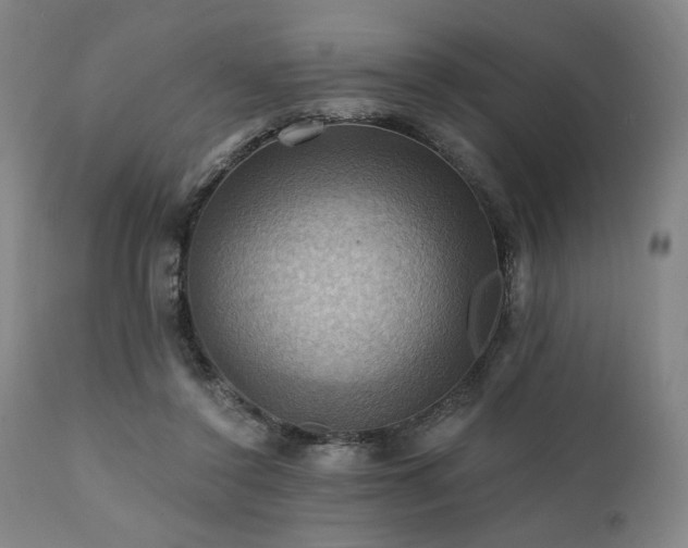 X0000112030356200908031442