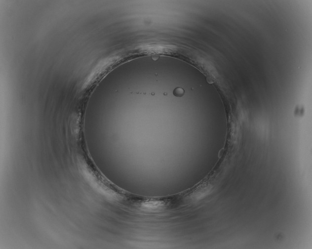 X0000112030357200908031442