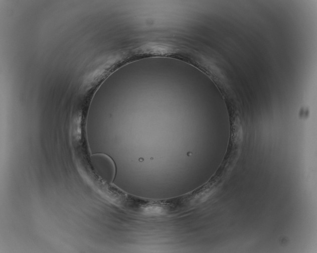 X0000112030358200908031442