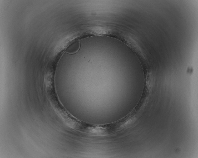 X0000112030359200908031442