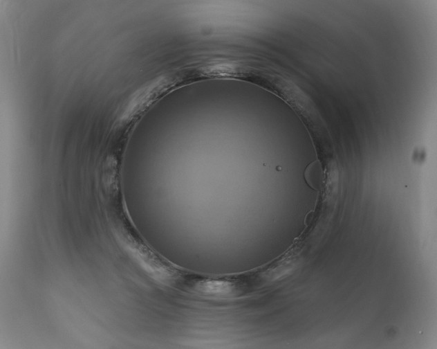 X0000112030361200908031442