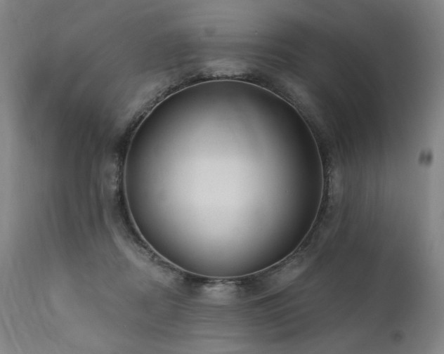 X0000112030362200908031442