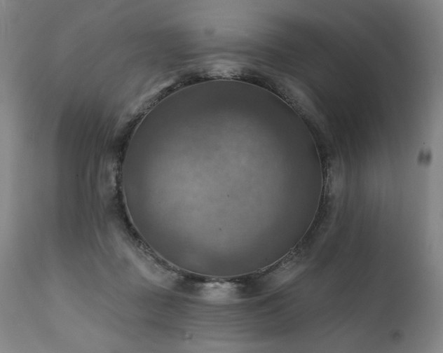 X0000112030363200908031442