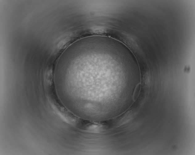 X0000112030364200908031442