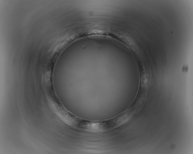 X0000112030365200908031442