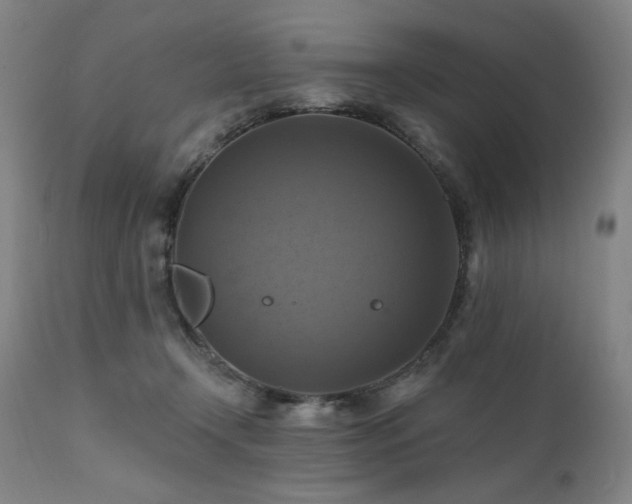 X0000112030366200908031442