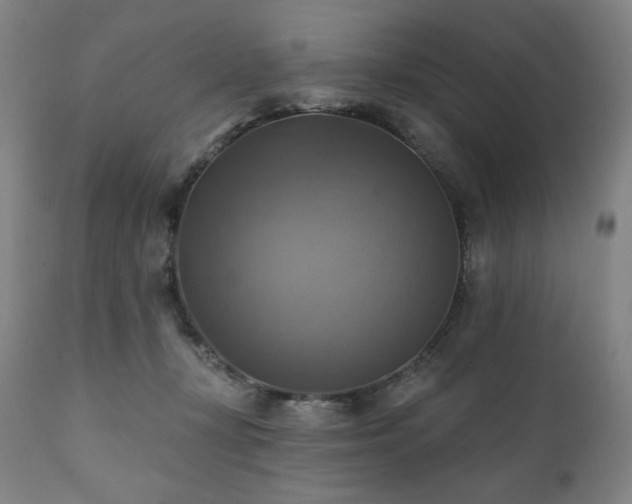 X0000112030367200908031442