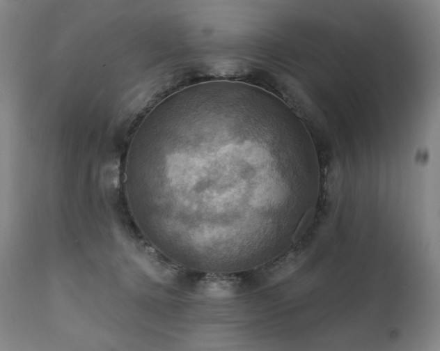 X0000112030368200908031442