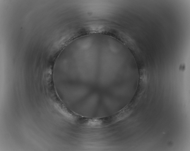 X0000112030369200908031442