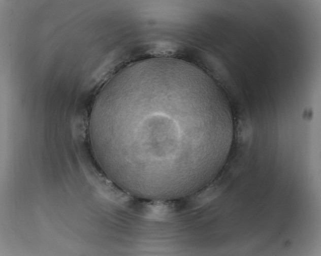 X0000112030370200908031442