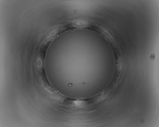 X0000112030371200908031442