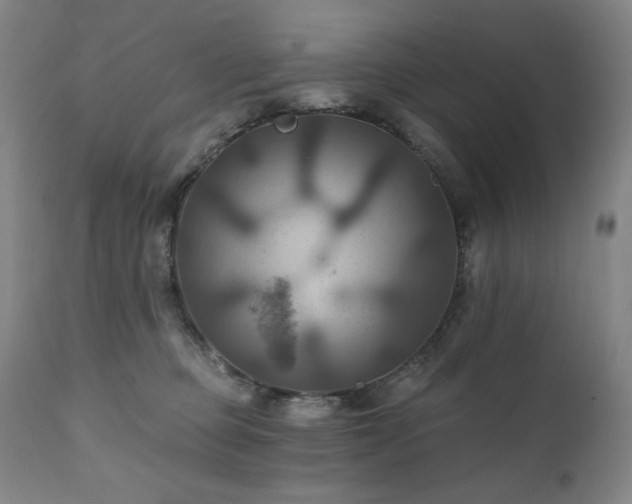 X0000112030373200908031442