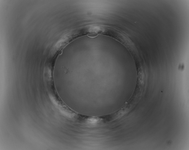 X0000112030375200908031442
