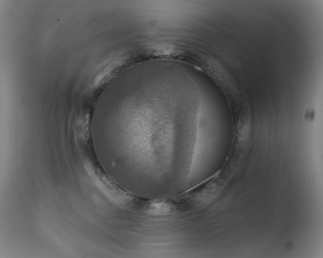 X0000112030376200908031442